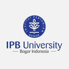 97ipb